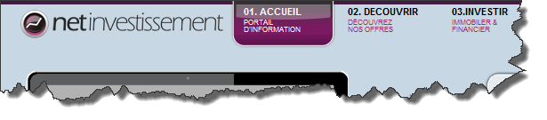 net-investissement.fr : gestion de patrimoine